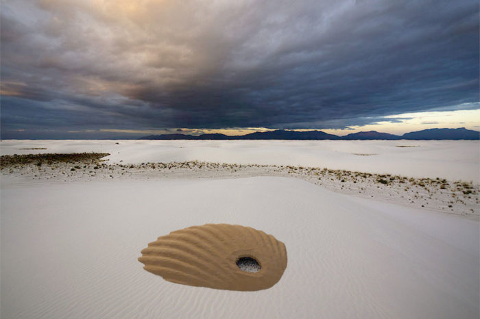 coquillage-saint-jacques-beige